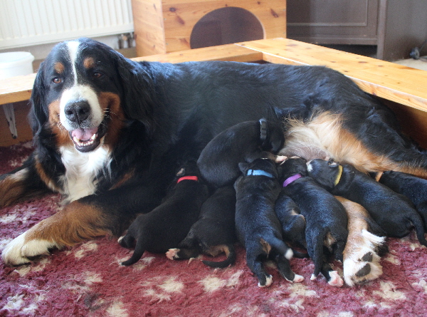 Mama Wanda und ihre L-Kinder